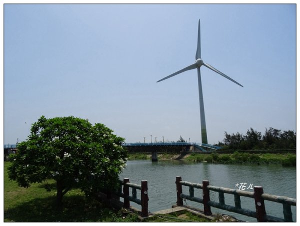 大安龜殼公園景觀步道976578