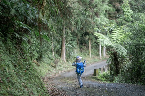 淡蘭古道上的辭職嶺傳說｜崩山坑古道2175684