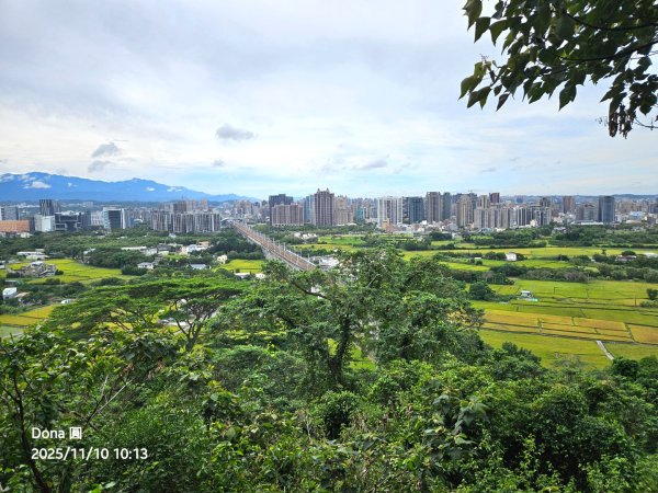 20251110竹北文山步道＆犁頭山稜線步道賞高鐵+大墩山柿園2934055