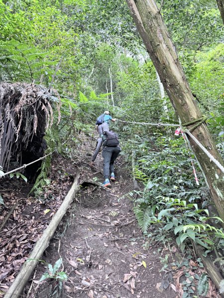 埔里登蜈蚣崙山、板仔寮山 2025.6.182815479