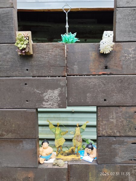 圓覺寺步道→新福本坑→碧湖步道→碧山公園→國立臺灣戲曲學院→碧湖公園→大港墘公園【臺北健走趣】2849253