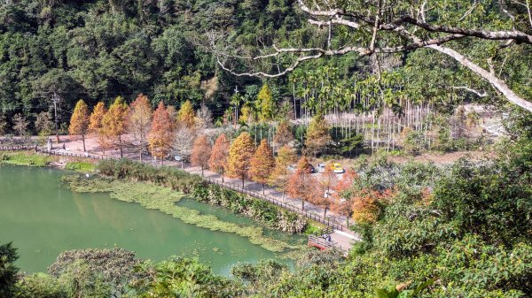 望龍埤,鎮頭山,蜊埤湖2391884