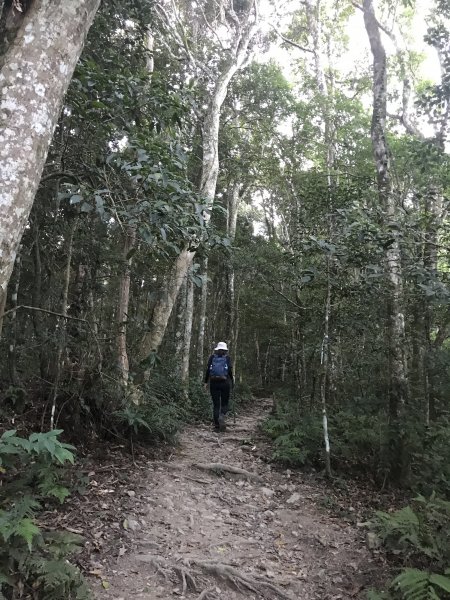 登山野營兩相宜~高島縱走1488834