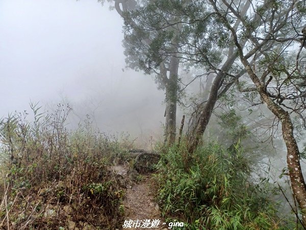 【台南。 南化】迷霧山徑。 小百岳集起來。 編號70小百岳~刣牛湖山登山步道1610479