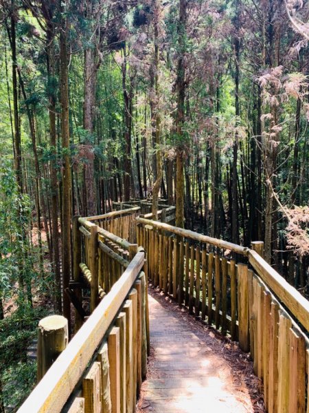 雲林古坑 石壁木馬古道933589