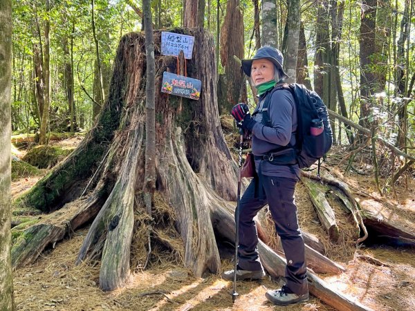 船型山環走大雪山210林道2978033