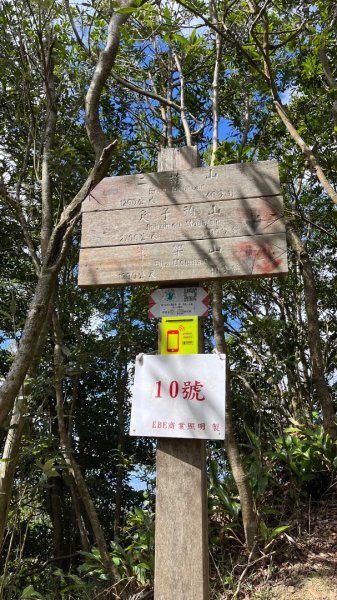 微笑山線【二格山系】筆架連峰段2957352