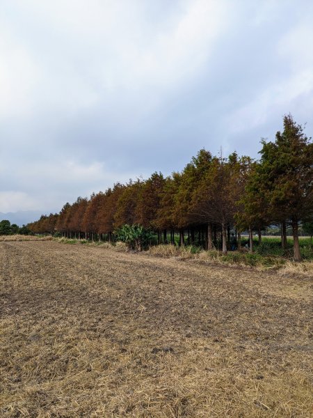 農禪寺,普濟寺2407052