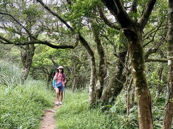 鵲子山 基隆山 202409082590711