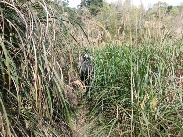 頭城鎮龜山車站+北關山豬線+叢雲山+梗枋古道出龜山車站O型3007601