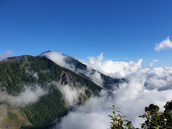 暑假爬山 之 揪弟弟一起挑戰北大武！1049093