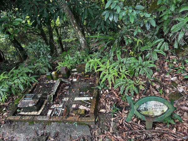 內湖鯉魚山之旅2811726