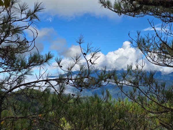 志佳陽大山／至高點／雪山大草原／瓢單山屋／四季蘭溪吊橋2927673