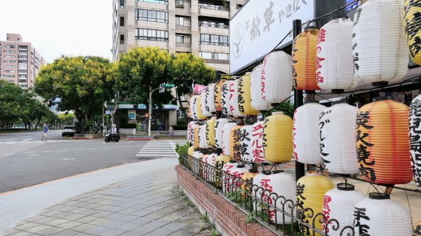 台灣欒樹,淡水紅樹林2605678