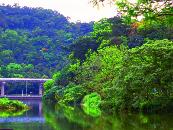 搭著捷運去旅行：內湖白鷺鷥山步道570147