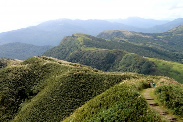 草嶺古道-桃源谷遍野芒花翻飛，飽覽絕美山海奇景！2335614