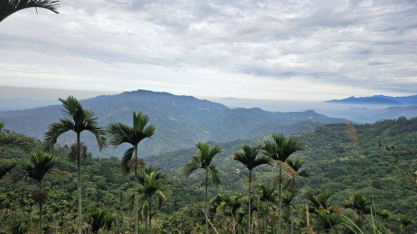 暗影山三進三出2366560