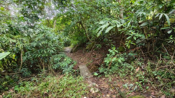 燕溪古道-大崙尾山西峰-仙座台山-圓明寺步道2926531