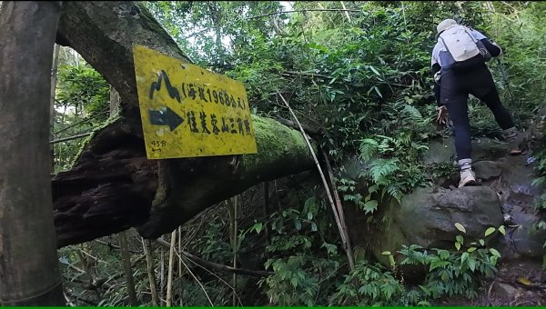 阿里山頂湖三連峰:天福山、芙蓉山、凸龜山2810086