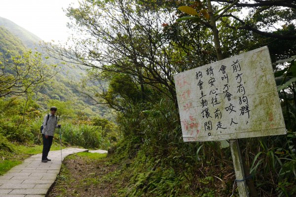 大小粗坑 每一步都是味道514621