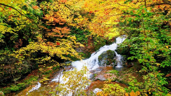 山形縣銀山溫泉2929647