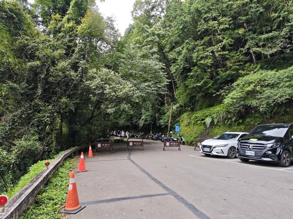 2025_0713 拉拉山神木群步道2837252