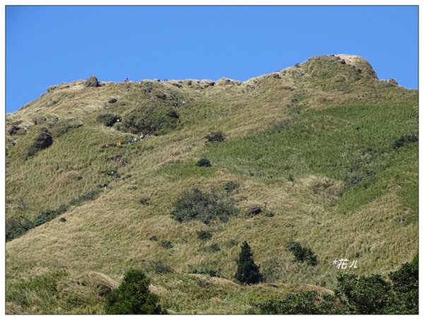七星山連峰/芒花738698