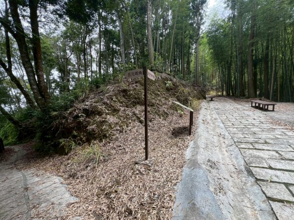 嵐山再古坑。五元兩角 木馬古道2806207