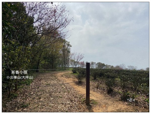 山塘背登山步道 O型路線2761461