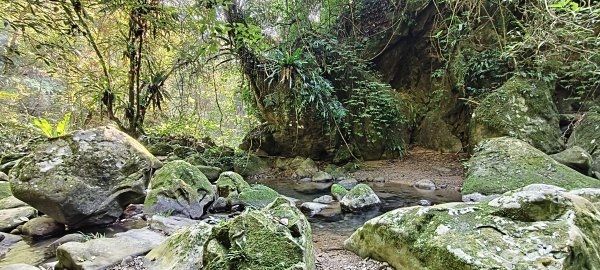 2026/02/21-馬胎古道（含二期）3005120