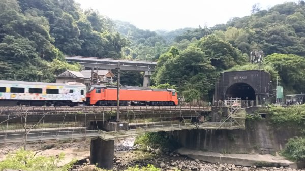 平溪區碩仁里-幼坑古道-幼坑山-幼坑山南鞍-大平林山-番子坑生態園區-番子坑3086143