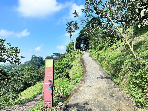 半天岩祈福步道連走修慧步道2622661