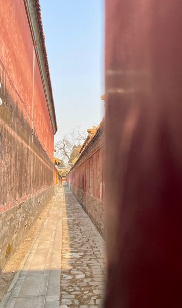 ㄧ路向北尋雪2994209