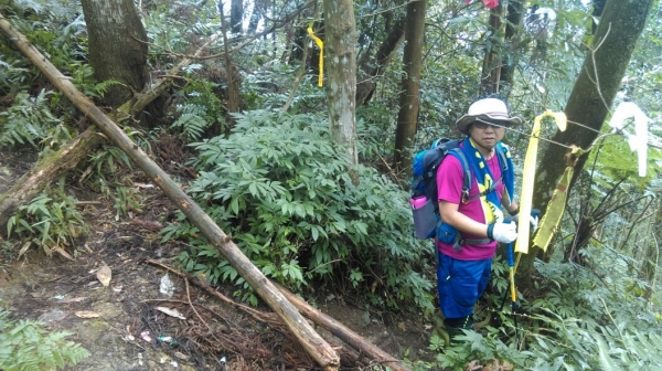 20151205南庄向天湖山,光天高山27692