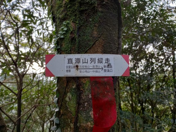 雷公埤山-鱷魚島觀景-小格頭獅頭山2001501