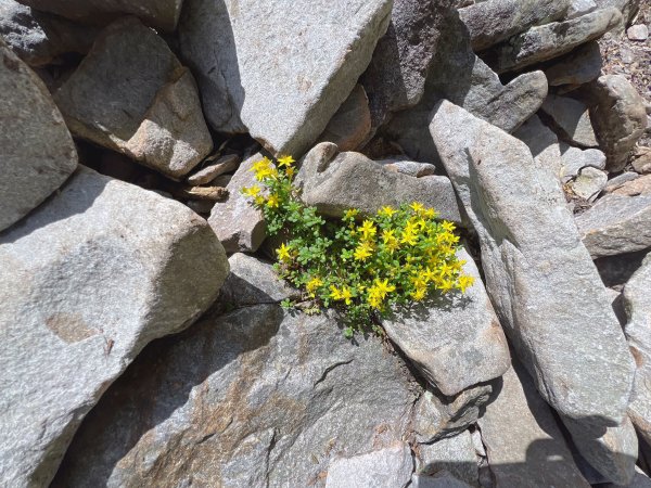 ~ 池 有 山 / 品 田 山 ~2854066