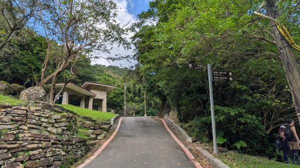 114.11.09草嶺古道芒花季之旅2932948