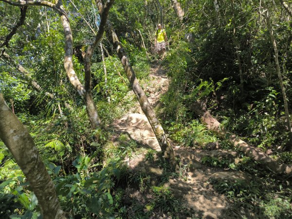 20251004微笑山線：【二格山系】筆架連峰段2904521