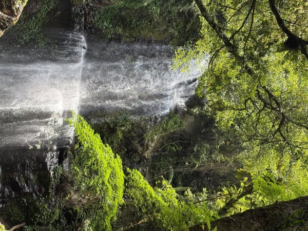 戲水（耘雲姊2786109