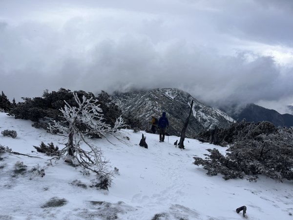 八大秀雪攀初體驗，銀白色中央山脈2413115