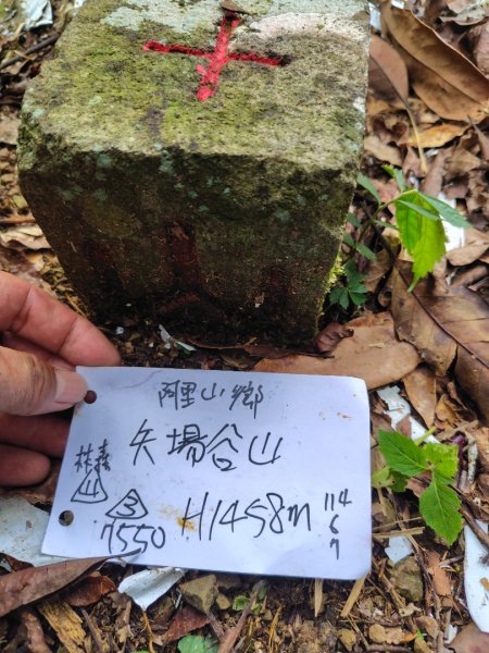 矢場谷山連走勃子山2805066