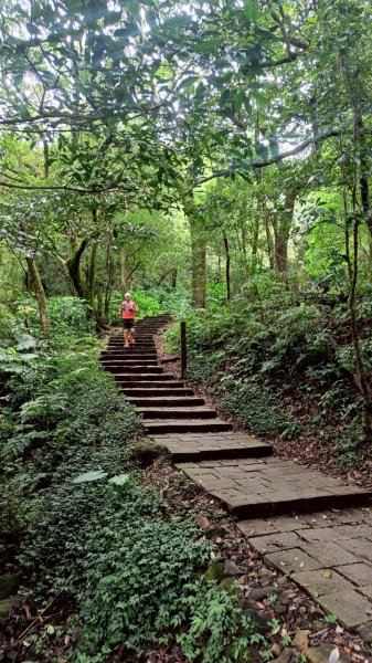 20250803_三進七星山(我的第四刷)2850686