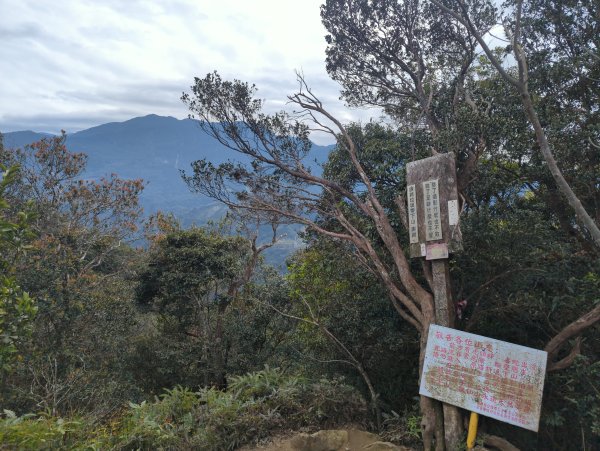 2025.01.18－仙山步道2706109