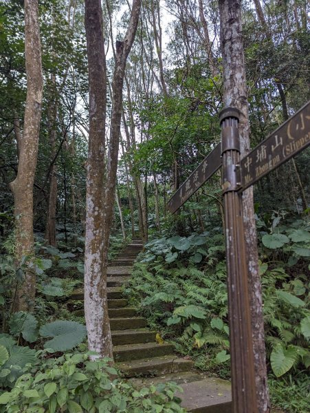 2024-01-28 福州山公園2793302