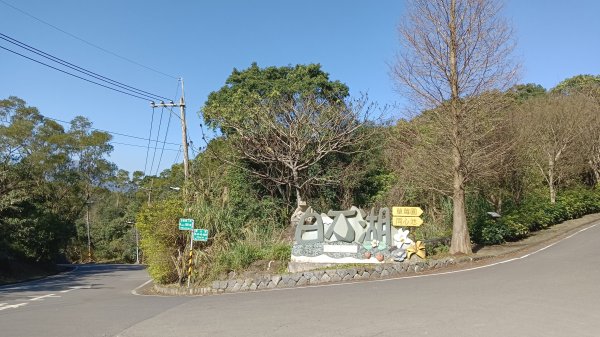 大崙頭尾山下大湖公園2114353