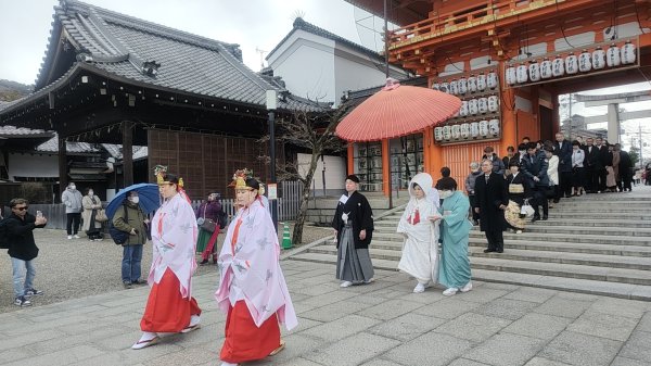 京都清水寺2453615