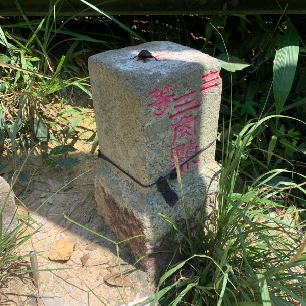 20260925南投銃櫃山-後尖山-土地公鞍嶺3128889
