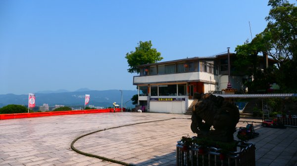 燈秤花3033217