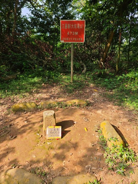 挑炭古道(三通嶺古道)+慈濟山步道2780425