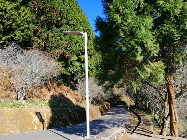 南投~飽覽層疊山巒賞心悅目~金龍山步道1242587